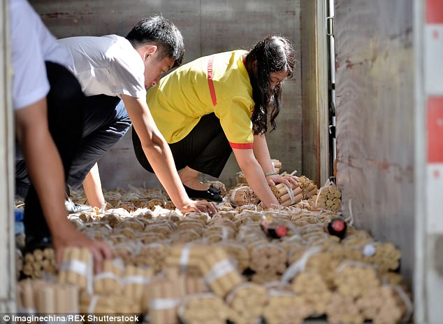 Bozuk parayla BMW almaya kalktı