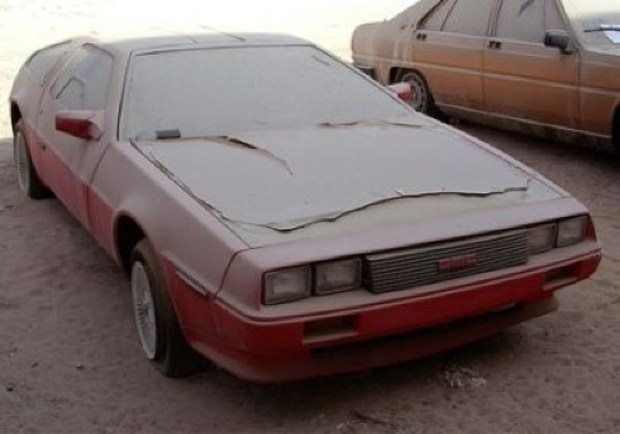 Çürümeyi bekliyorlar!