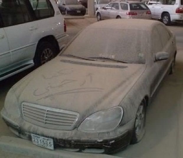 Çürümeyi bekliyorlar!