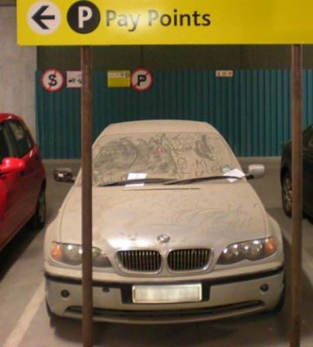 Çürümeyi bekliyorlar!