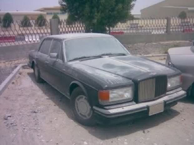 Çürümeyi bekliyorlar!