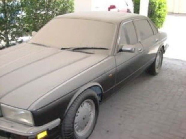 Çürümeyi bekliyorlar!