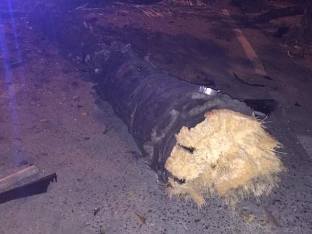 Hurdaya dönen lüks otomobiller