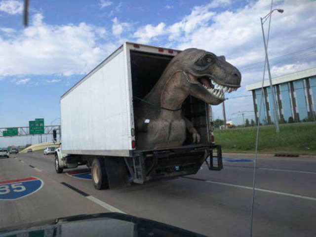 Dünyadaki en tuhaf araçlar