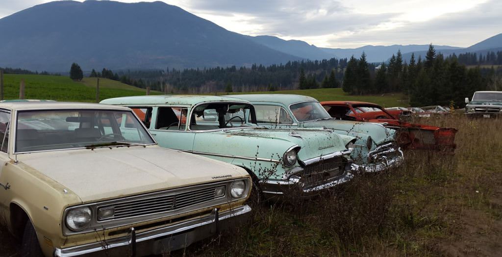 Kanadalı bir iş adamı arazisini 340 otomobiliyle satıyor  