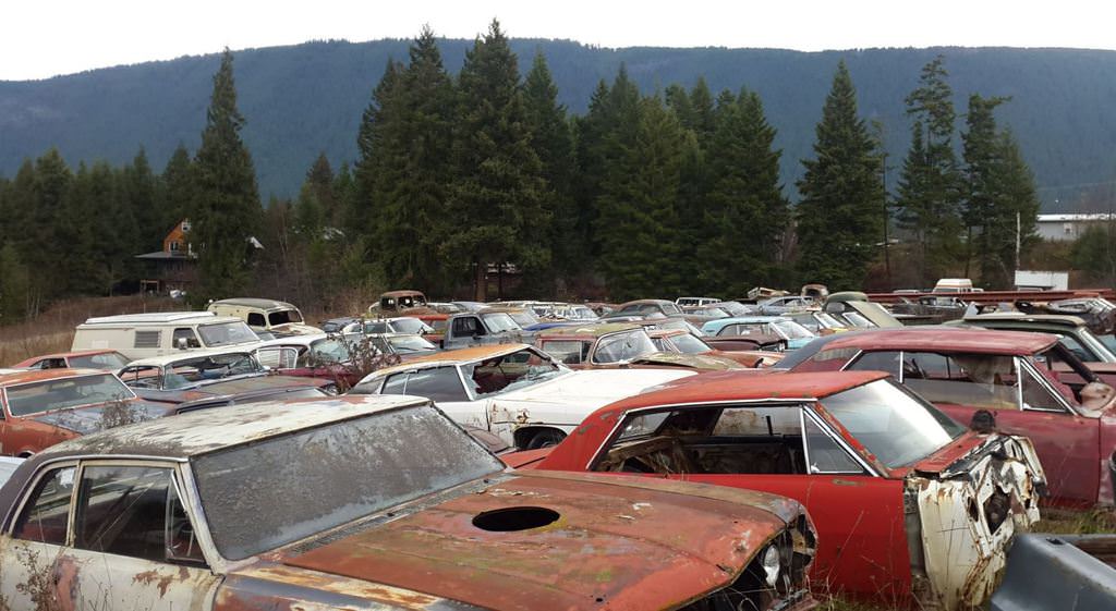 Kanadalı bir iş adamı arazisini 340 otomobiliyle satıyor  