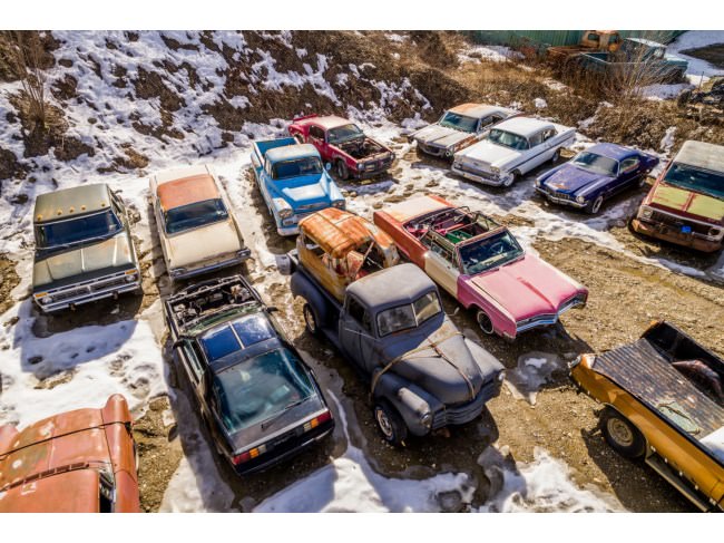 Kanadalı bir iş adamı arazisini 340 otomobiliyle satıyor  