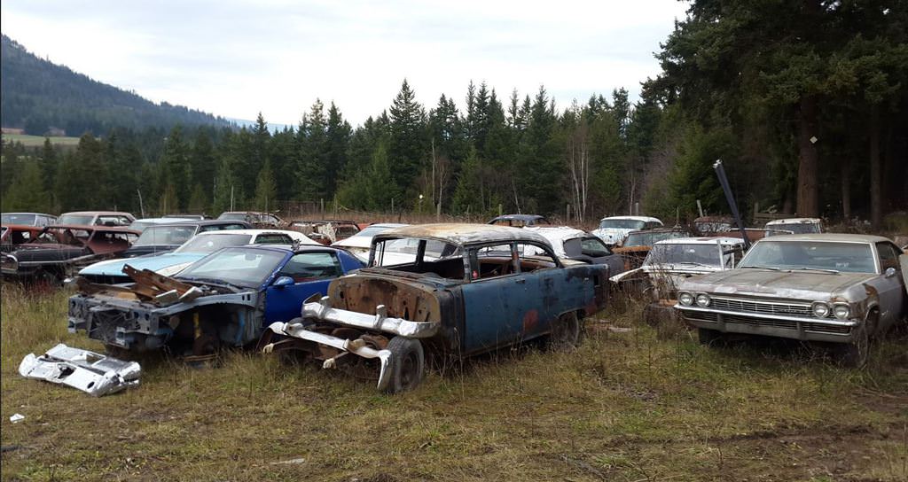 Kanadalı bir iş adamı arazisini 340 otomobiliyle satıyor  