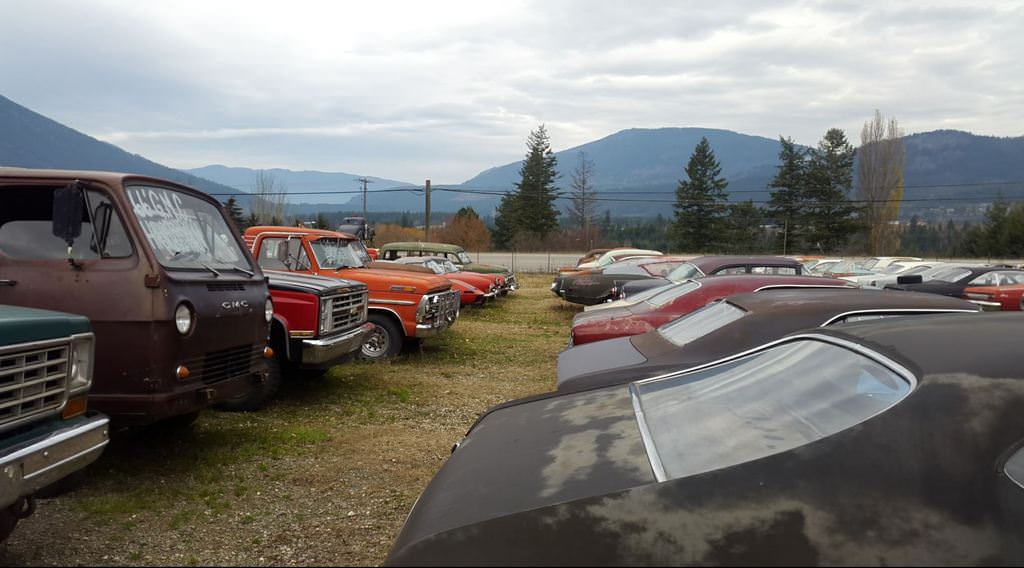 Kanadalı bir iş adamı arazisini 340 otomobiliyle satıyor  