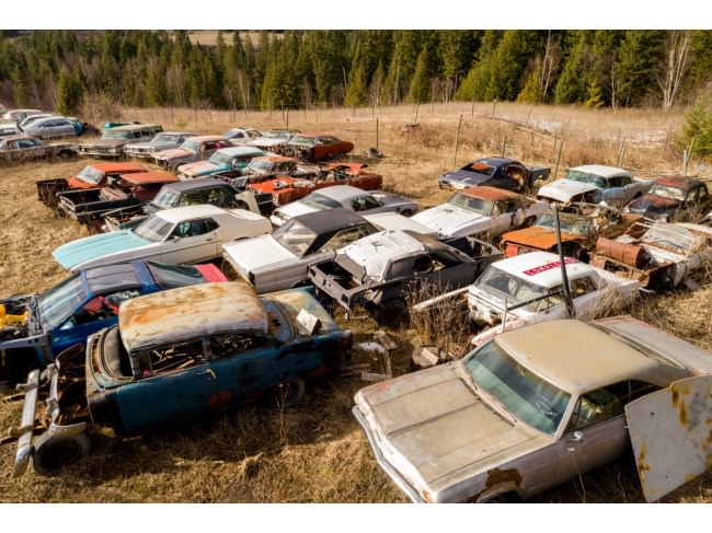 Kanadalı bir iş adamı arazisini 340 otomobiliyle satıyor  