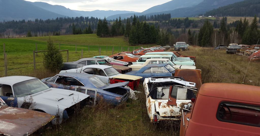 Kanadalı bir iş adamı arazisini 340 otomobiliyle satıyor  