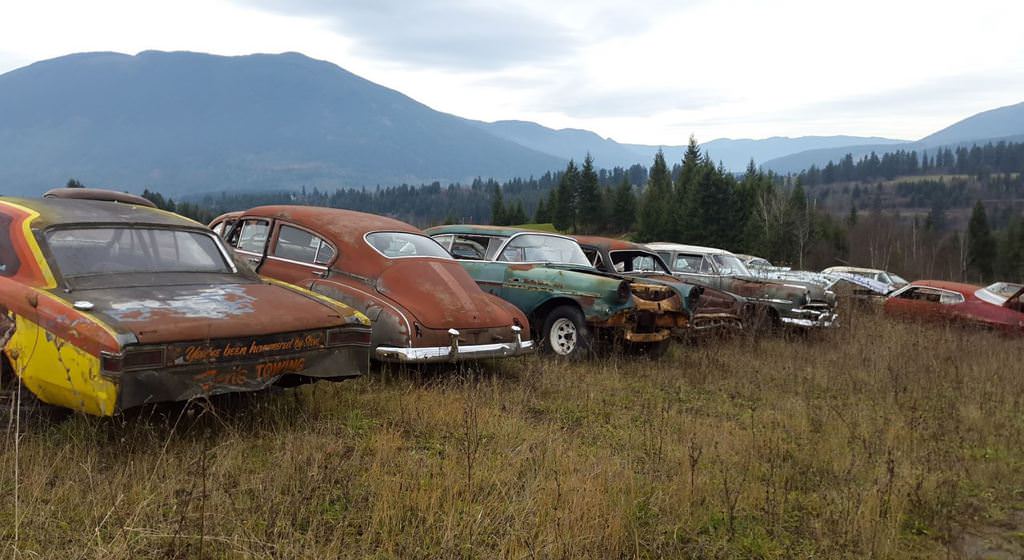 Kanadalı bir iş adamı arazisini 340 otomobiliyle satıyor  