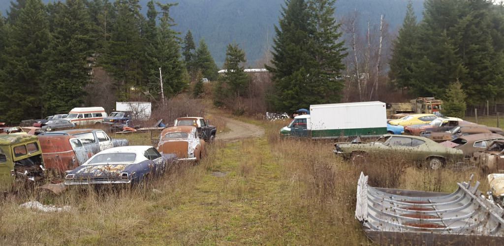 Kanadalı bir iş adamı arazisini 340 otomobiliyle satıyor  