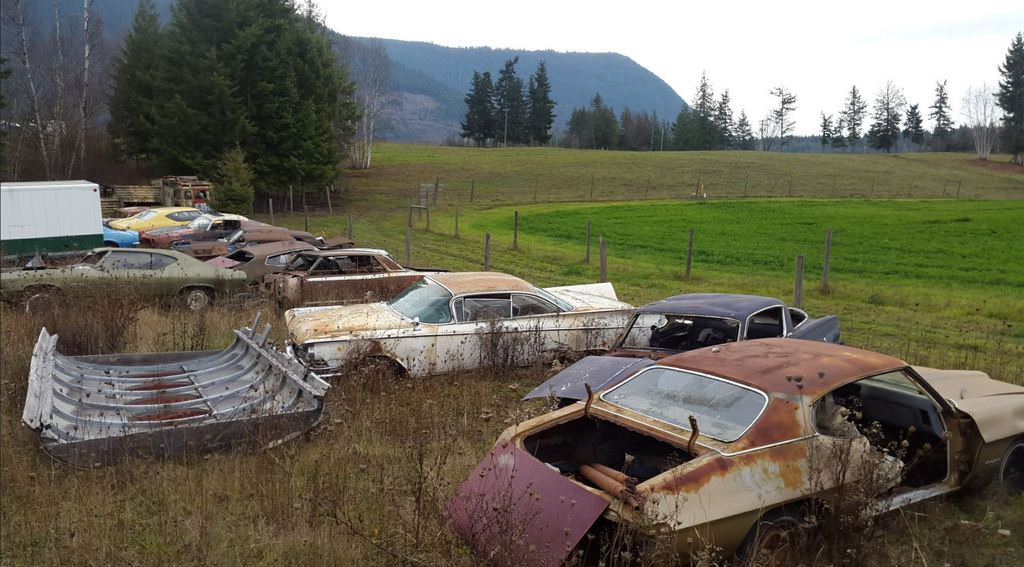 Kanadalı bir iş adamı arazisini 340 otomobiliyle satıyor  