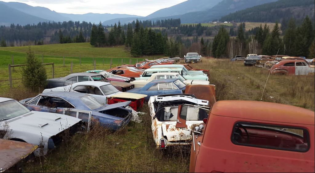 Kanadalı bir iş adamı arazisini 340 otomobiliyle satıyor  