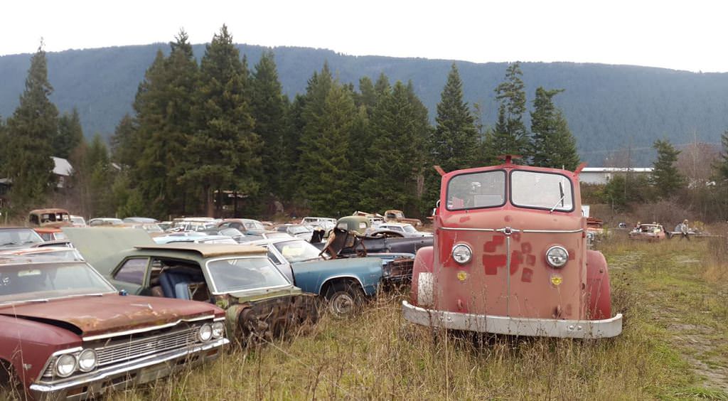 Kanadalı bir iş adamı arazisini 340 otomobiliyle satıyor  