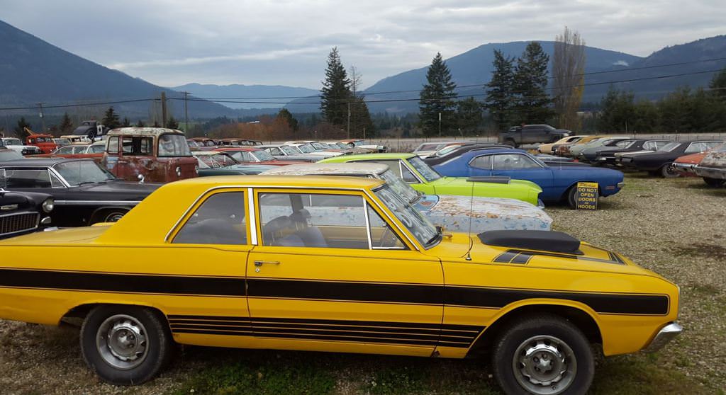 Kanadalı bir iş adamı arazisini 340 otomobiliyle satıyor  