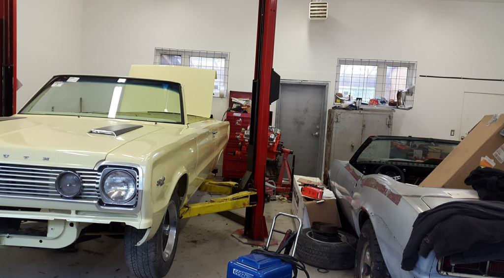 Kanadalı bir iş adamı arazisini 340 otomobiliyle satıyor  