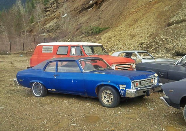 Kanadalı bir iş adamı arazisini 340 otomobiliyle satıyor  