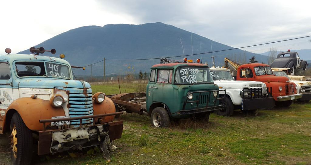 Kanadalı bir iş adamı arazisini 340 otomobiliyle satıyor  