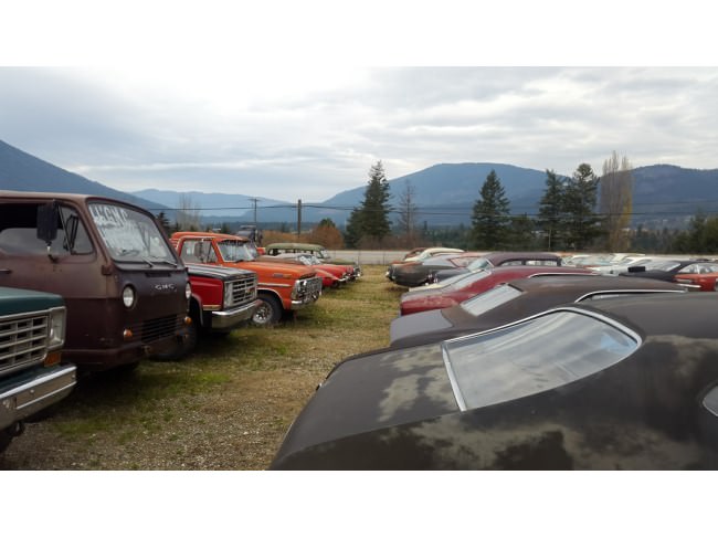 Kanadalı bir iş adamı arazisini 340 otomobiliyle satıyor  