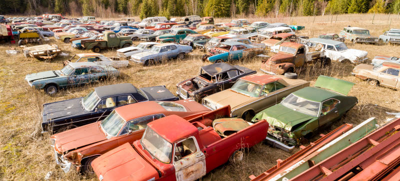 Kanadalı bir iş adamı arazisini 340 otomobiliyle satıyor  