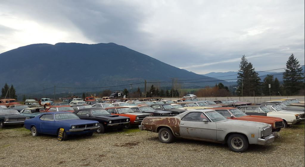 Kanadalı bir iş adamı arazisini 340 otomobiliyle satıyor  