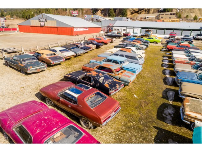 Kanadalı bir iş adamı arazisini 340 otomobiliyle satıyor  