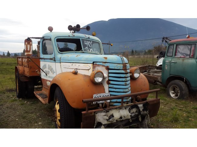 Kanadalı bir iş adamı arazisini 340 otomobiliyle satıyor  