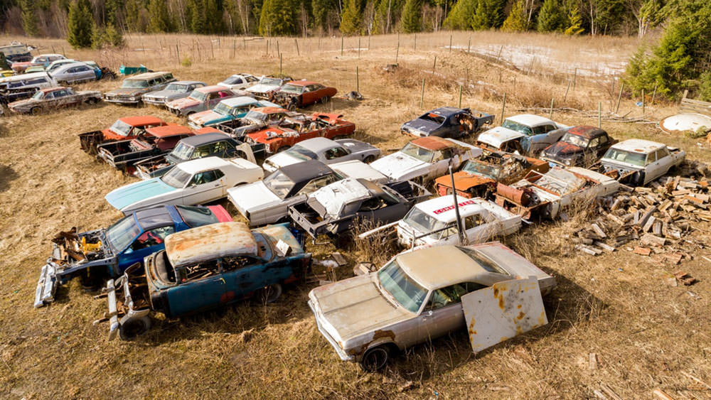 Kanadalı bir iş adamı arazisini 340 otomobiliyle satıyor  