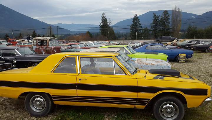 Kanadalı bir iş adamı arazisini 340 otomobiliyle satıyor  