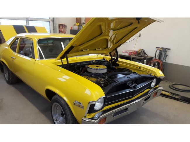 Kanadalı bir iş adamı arazisini 340 otomobiliyle satıyor  