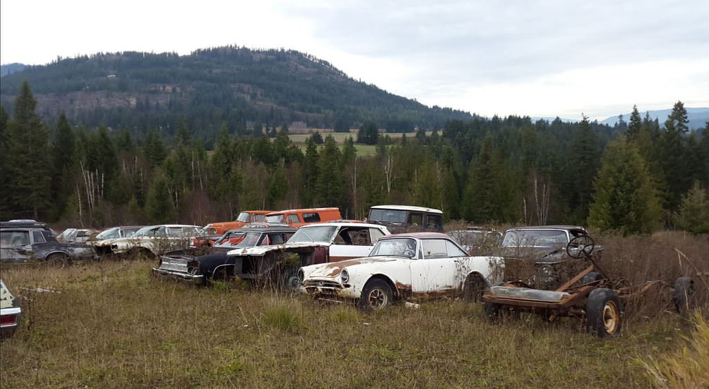 Kanadalı bir iş adamı arazisini 340 otomobiliyle satıyor  