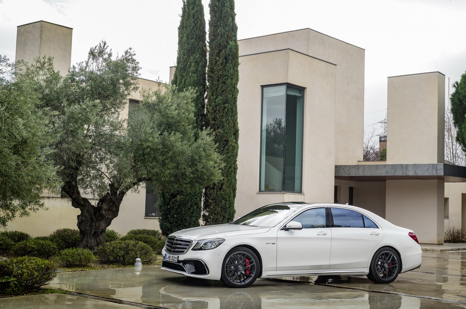 S63 & S65 AMG