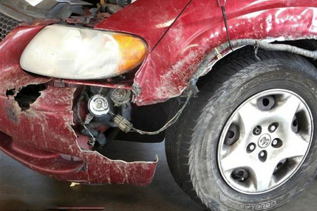 Çin'de köpekler otomobili parçaladı