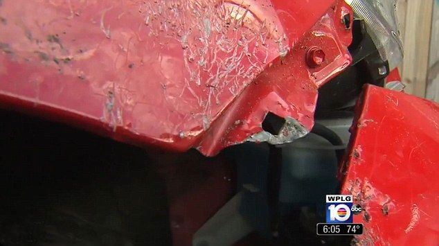 Çin'de köpekler otomobili parçaladı