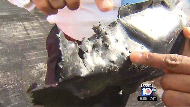 Çin'de köpekler otomobili parçaladı