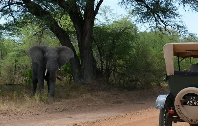 100 yıllık otomobille dünya turu