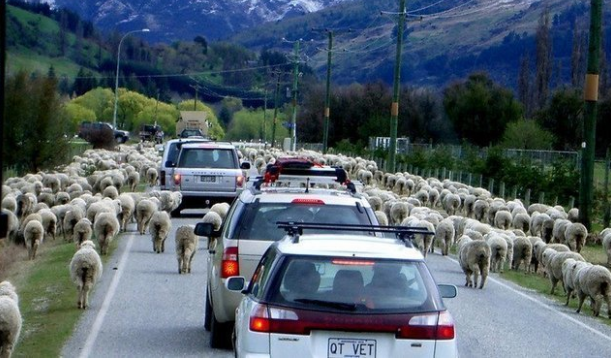 İnsanlar trafikte ne kadar vakit harcıyor?