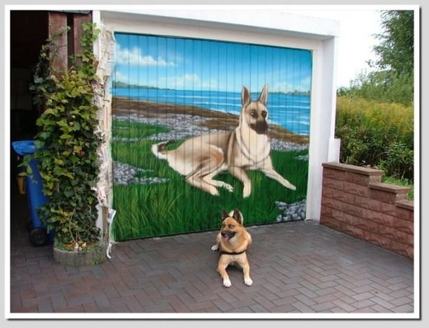 Garaj kapısı olduğuna inanamayacaksınız