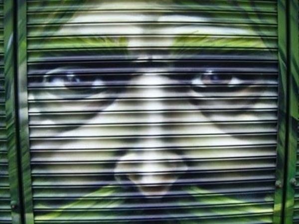 Garaj kapısı olduğuna inanamayacaksınız