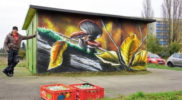 Garaj kapısı olduğuna inanamayacaksınız