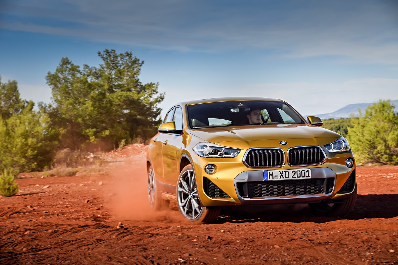 2019 BMW X2