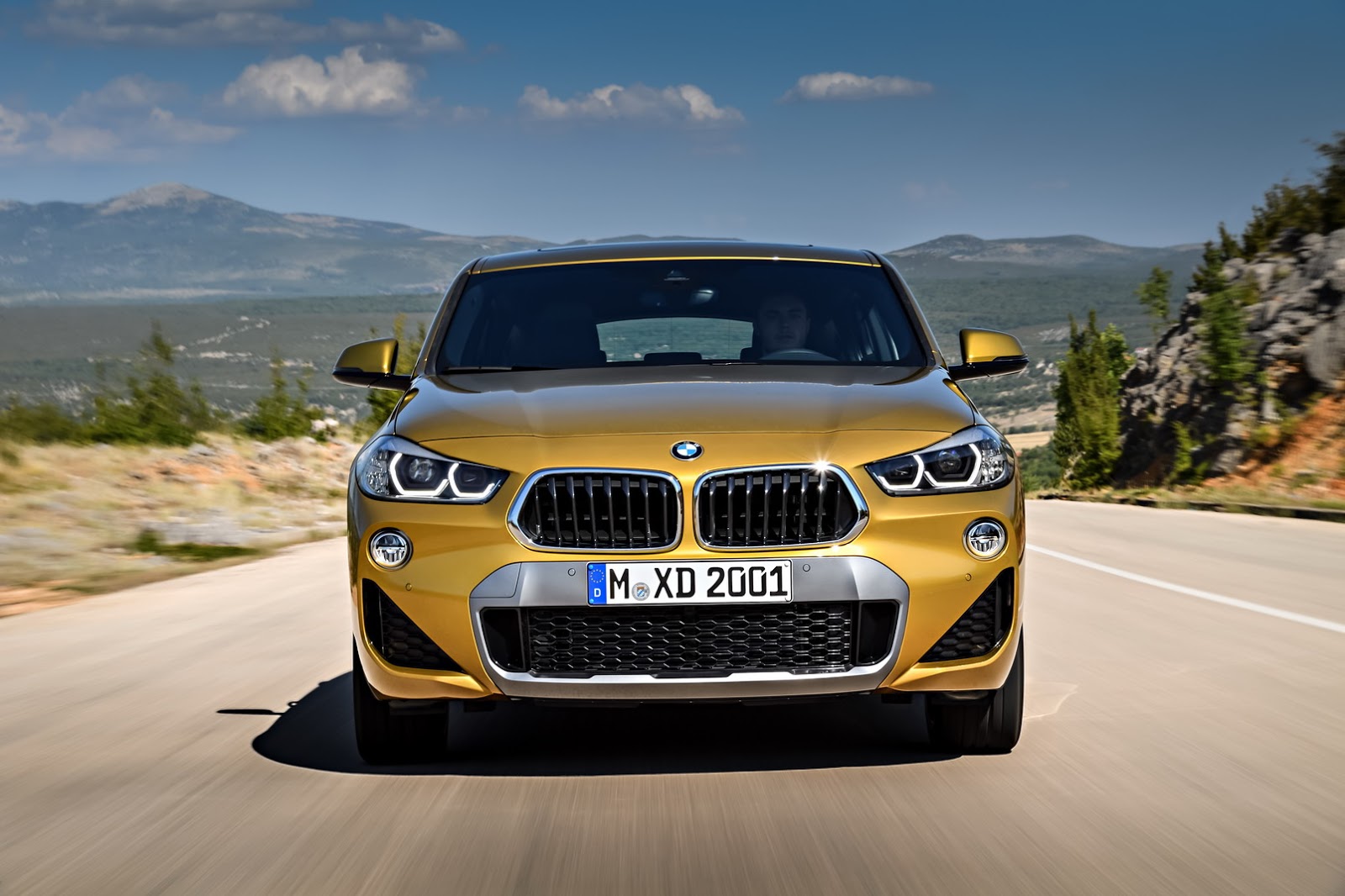 2019 BMW X2