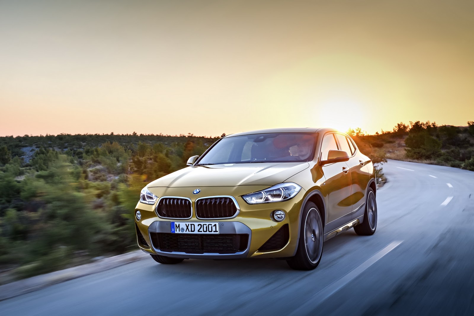 2019 BMW X2