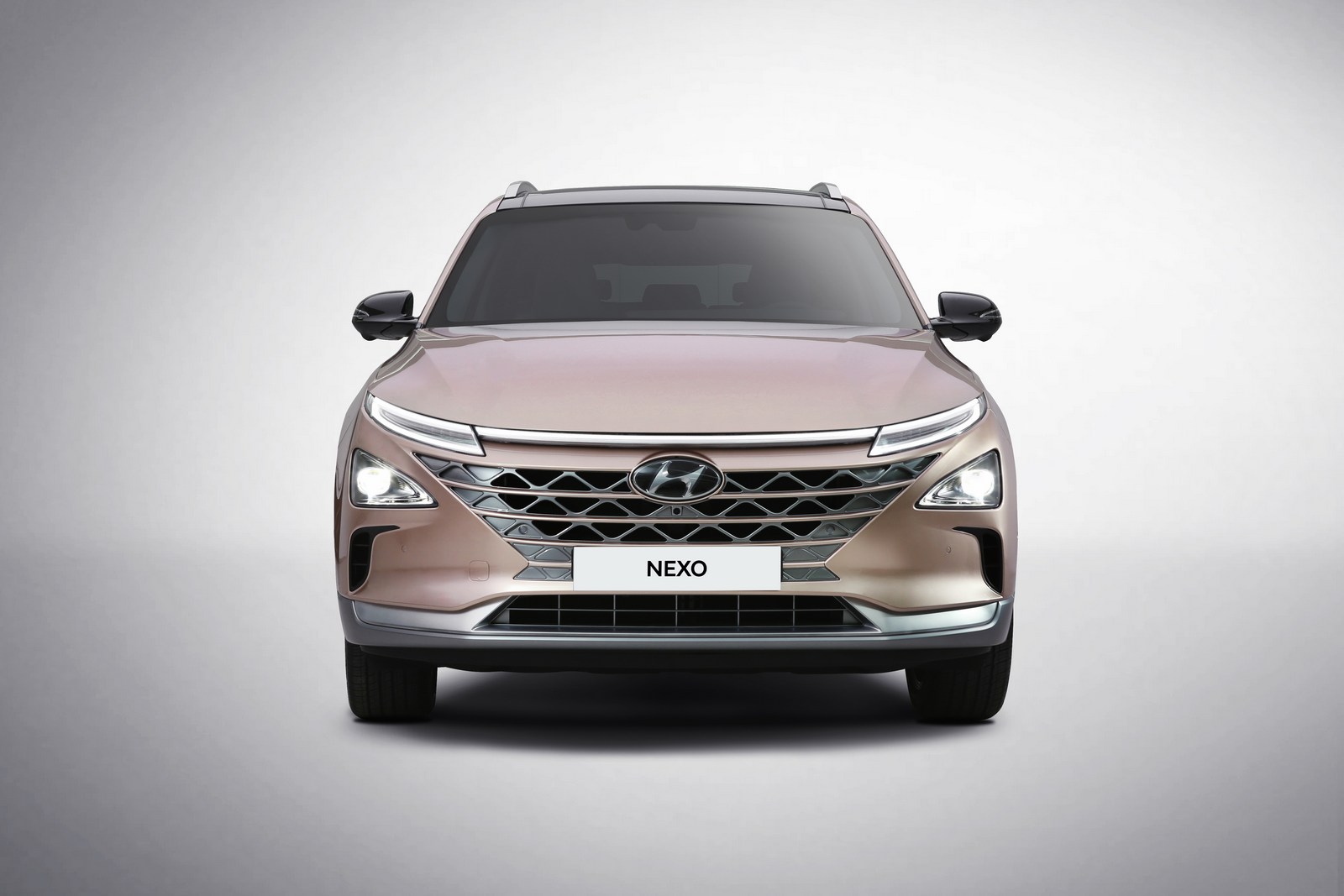 2019 Hyundai NEXO
