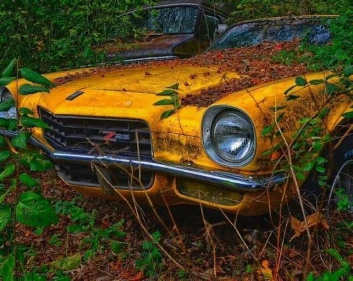 Çürüyen efsaneler