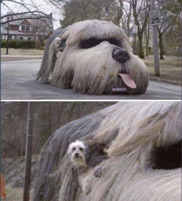 Dikkat çekici tuhaf araçlar