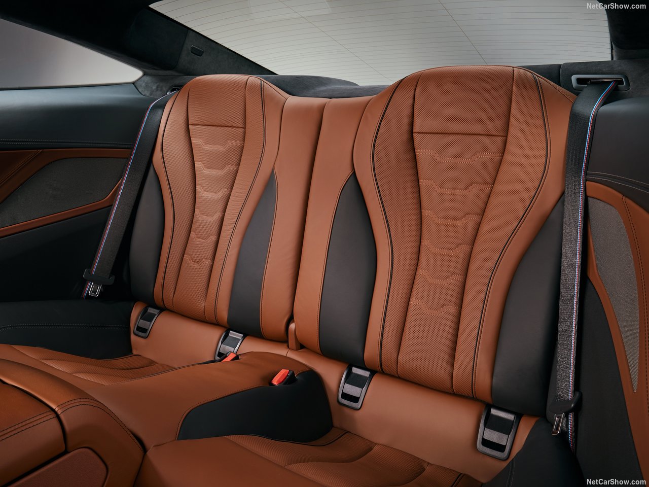 2019 BMW 8-Series Coupe resmen tanıtıldı