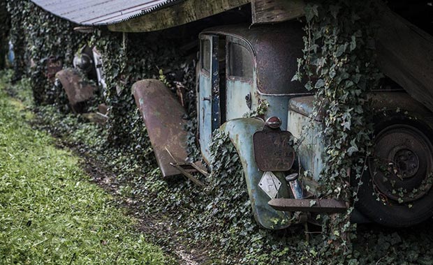 Çürümeye terk edilmiş servetler